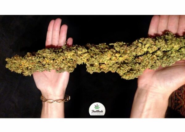 Californian Snow Auto THC fino a 23% - immagine 2