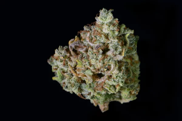 Gelato Auto THC fino al 26% - immagine 2