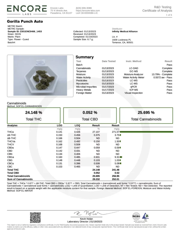 Gorilla Punch Auto THC Fino a 26% - immagine 3