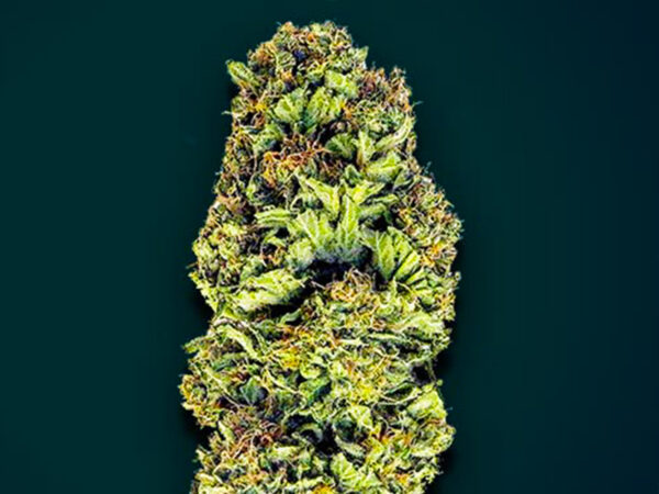 SUPER COOKIES XXL AUTO HTC 20% CBD 0,20% Autofiorenti - immagine 2