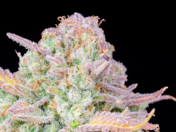 Trainwreck Auto THC fino a 22% - immagine 2