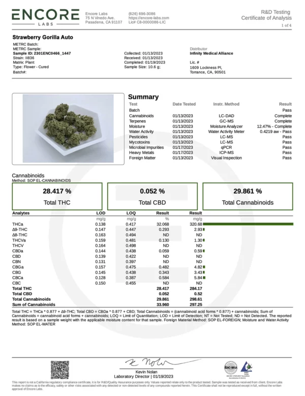 Strawberry Gorilla Auto THC Fino a 28.4% - immagine 2