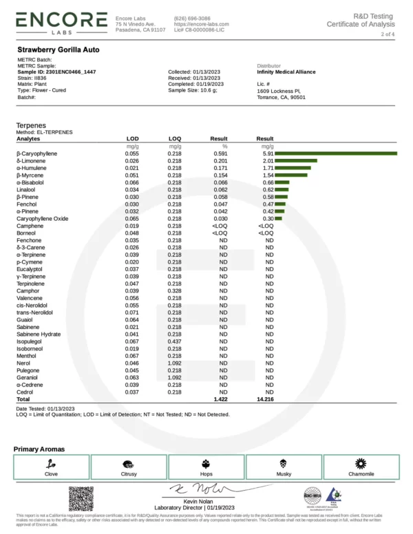 Strawberry Gorilla Auto THC Fino a 28.4% - immagine 3